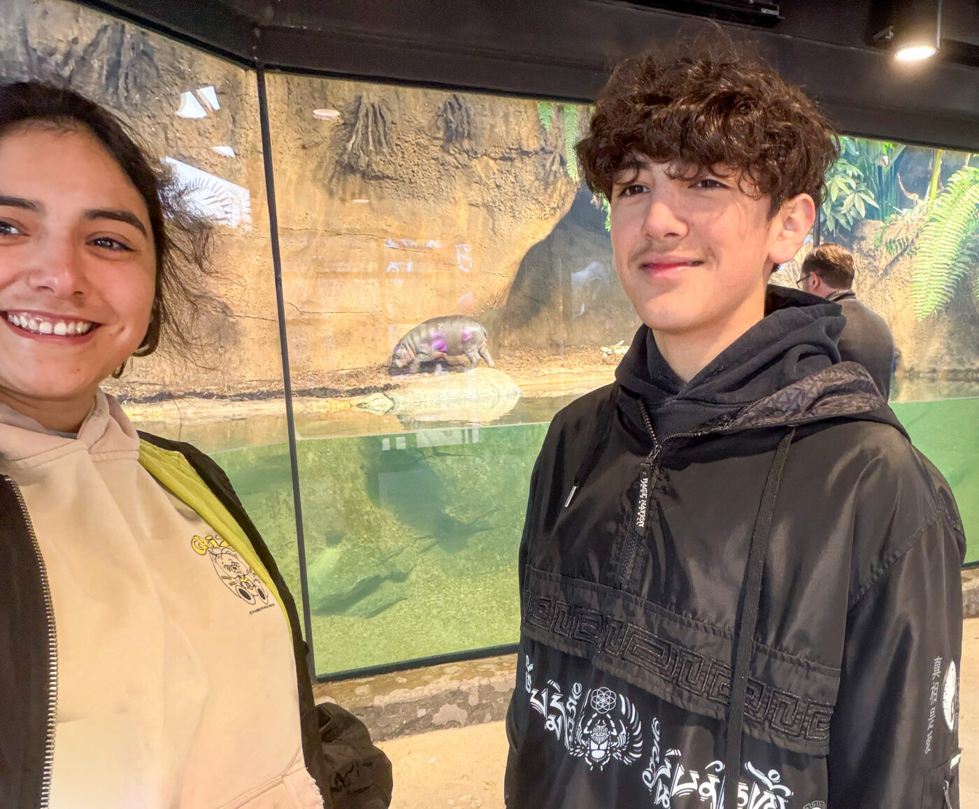 EV Construction Staycation Spring Break